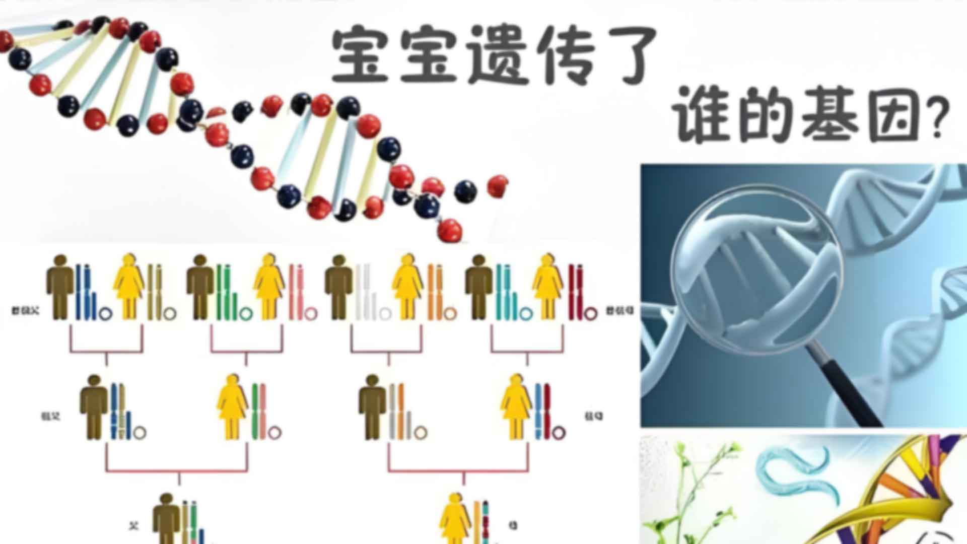 辛集市隐私亲子鉴定的详细办理步骤