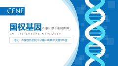 <b>石家庄正定亲子鉴定办理流程详解</b>