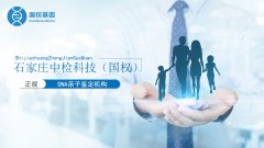 石家庄隐私亲子鉴定全攻略：费用、流程