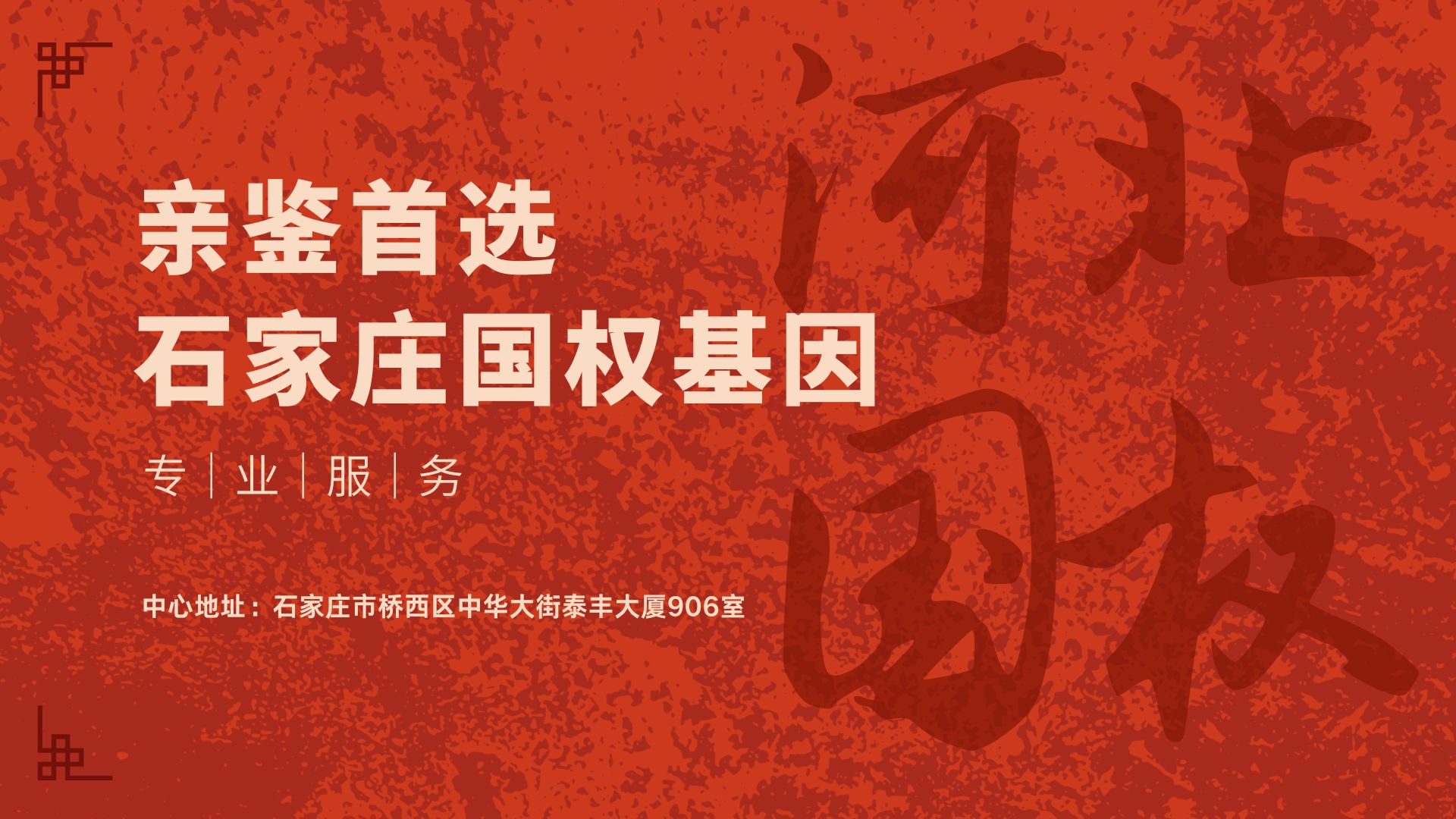 石家庄上户口亲子鉴定,石家庄上户口亲子鉴定机构,石家庄上户口亲子鉴定地址 石家庄上户口亲子鉴定,石家庄上户口亲子鉴定机构,石家庄上户口亲子鉴定地址