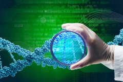 规范严谨！石家庄市匿名亲子鉴定机构全收录（